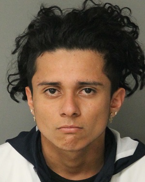 ALEXANDER AREVALO-HERNANDEZ DANIEL Info, Photos, Data, and More / Wake County Public Records