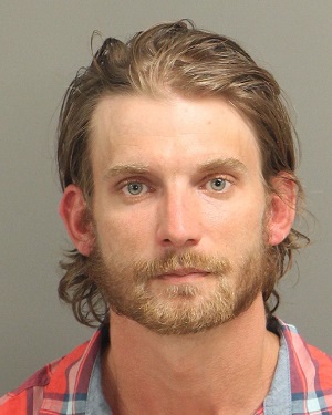 MICHAEL MATHES DAVID Info, Photos, Data, and More / Wake County Public Records