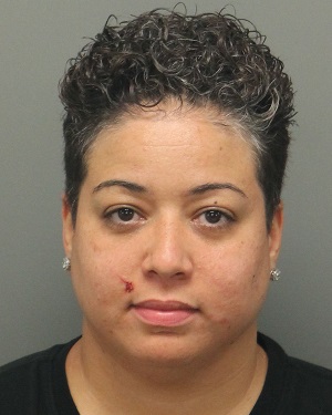 MARIE BERMUDEZ JERICA Info, Photos, Data, and More / Wake County Public Records