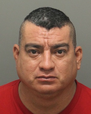 MANUEL CUELLO-ROMERO JOSE Info, Photos, Data, and More / Wake County Public Records