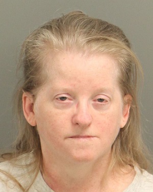 ELIZABETH WORKMAN MARY Info, Photos, Data, and More / Wake County Public Records