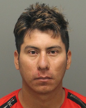 JULIAN MORALES-HERNANDEZ MELVIN Info, Photos, Data, and More / Wake County Public Records