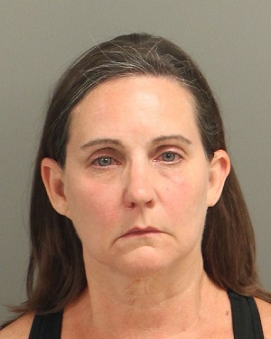 LYNNE JOHNSON PATRICIA Info, Photos, Data, and More / Wake County Public Records