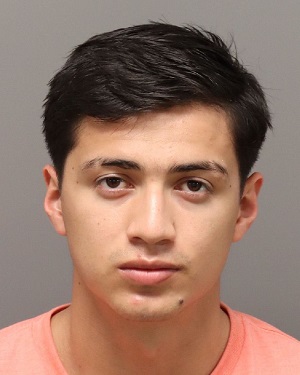 ANAEL TORRES-FLORES ALAN Info, Photos, Data, and More / Wake County Public Records