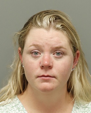 RENEE HUDSON ALISHA Info, Photos, Data, and More / Wake County Public Records