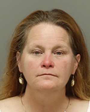 LYNNE ELLIOTT AMY Info, Photos, Data, and More / Wake County Public Records
