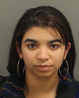 YVETTE RODRIGUEZ AURELIS Info, Photos, Data, and More / Wake County Public Records