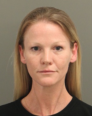 SWANSON RESSNER BRIANA Info, Photos, Data, and More / Wake County Public Records