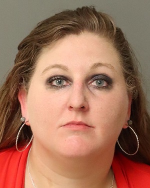 LEIGH KARNS BRITTANY Info, Photos, Data, and More / Wake County Public Records