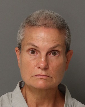 MARY WILLIS CHRISTINE Info, Photos, Data, and More / Wake County Public Records