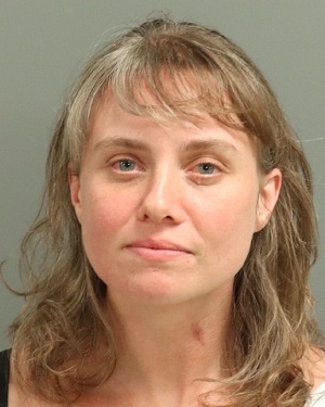LYNNE BRACKETT CHRISTY Info, Photos, Data, and More / Wake County Public Records