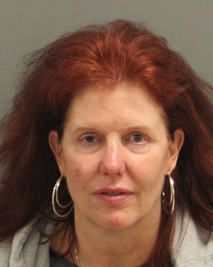 DIANNE ABEN ELIZABETH Info, Photos, Data, and More / Wake County Public Records