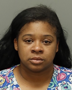 ALYSE HILL ERICKA Info, Photos, Data, and More / Wake County Public Records