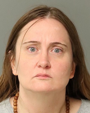 MICHELLE HARRIS GINGER Info, Photos, Data, and More / Wake County Public Records