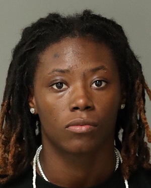 TAMIA LEWIS JAYLA Info, Photos, Data, and More / Wake County Public Records
