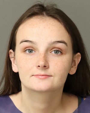 BROOKE SYKES JESSICA Info, Photos, Data, and More / Wake County Public Records