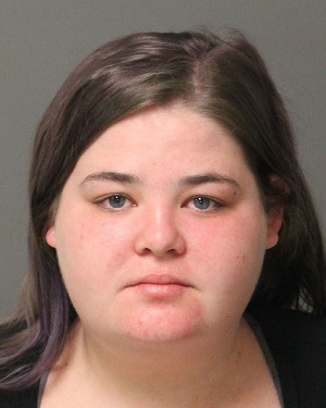 ERIN CUPIT LYDIA Info, Photos, Data, and More / Wake County Public Records