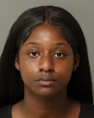 BRIANA BRYANT MEKAYLA Info, Photos, Data, and More / Wake County Public Records