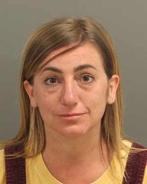 NICOLE THEIS SHANNON Info, Photos, Data, and More / Wake County Public Records
