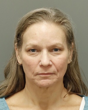 LEE PIERCE SUZANNE Info, Photos, Data, and More / Wake County Public Records