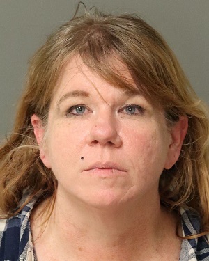 LYNN RUFFNER TRACI Info, Photos, Data, and More / Wake County Public Records