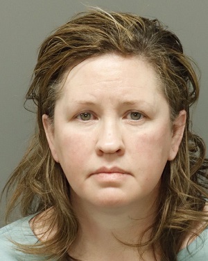 LESLIE ARNOLD-DAVIDSON ALISON Info, Photos, Data, and More / Wake County Public Records