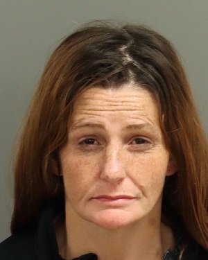 RACHELLE BLEDSOE BRANDEE Info, Photos, Data, and More / Wake County Public Records
