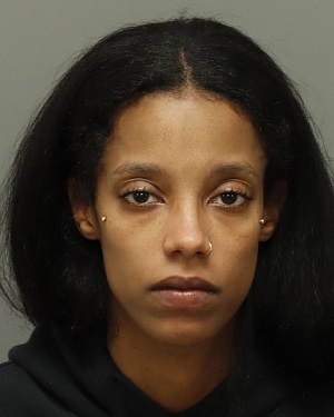 JOI ROYSTER DOMINIQUE Info, Photos, Data, and More / Wake County Public Records