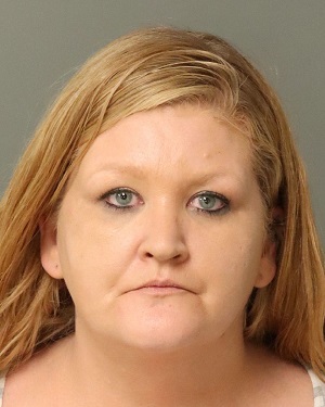 LYNN MCNEILL MELISSA Info, Photos, Data, and More / Wake County Public Records