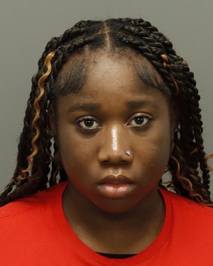 ELIZABETH LISA KINKELA NLOMBO-KOMONO MIA Info, Photos, Data, and More / Wake County Public Records