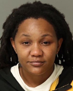 MONEE YOUNG-TODD SHUNDAI Info, Photos, Data, and More / Wake County Public Records