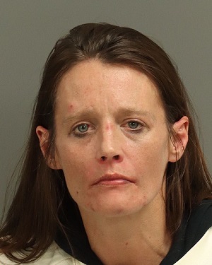 AMANDA ELIZABETH SEITTER Fotos y informacion de registros de registros publicos del condado de Wake County NC