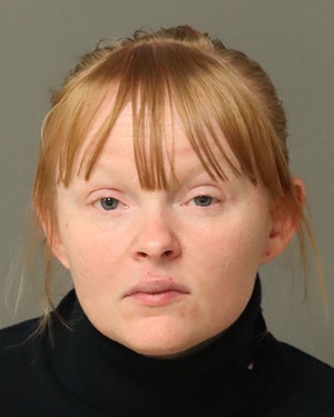 MICHELLE TYREE AMANDA Info, Photos, Data, and More / Wake County Public Records