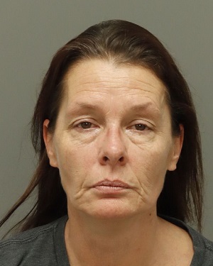 AMY MARIE OBERG Fotos y informacion de registros de registros publicos del condado de Wake County NC