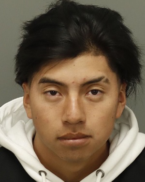 YURLIN GONZALEZ-DIAZ ANDY Info, Photos, Data, and More / Wake County Public Records