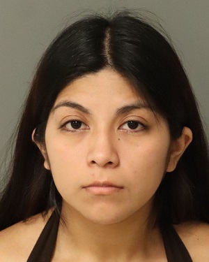 ANGELA VILLA-GOMEZ ASHLEY Info, Photos, Data, and More / Wake County Public Records