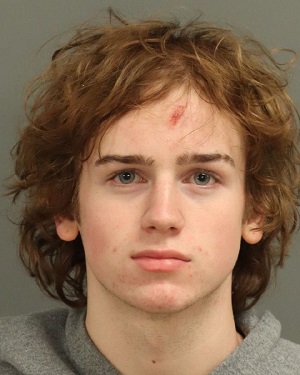 ASHTON HENRY RAHLFS Fotos y informacion de registros de registros publicos del condado de Wake County NC