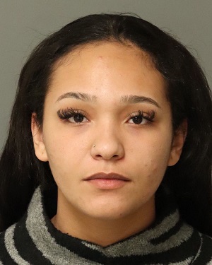 BRIANNA DANIELLE BETHEL Fotos y informacion de registros de registros publicos del condado de Wake County NC