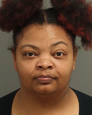 CHEYANNE LYNETTE BUSH Fotos y informacion de registros de registros publicos del condado de Wake County NC