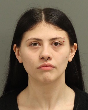 COURTNEY MICHELLE CULBRETH Fotos y informacion de registros de registros publicos del condado de Wake County NC