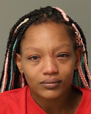 DYSIRE LACHELLE EARLS Fotos y informacion de registros de registros publicos del condado de Wake County NC