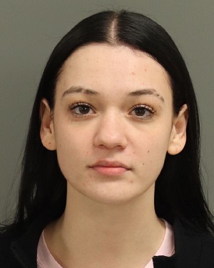 PALANCIUC EMANOELA Photos - Images - Public Records / Public Information Report For PALANCIUC EMANOELA