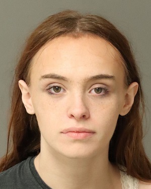 ANNE HODGSON GRACE Info, Photos, Data, and More / Wake County Public Records