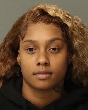 JENICE SHELBY TAVARES Fotos y informacion de registros de registros publicos del condado de Wake County NC