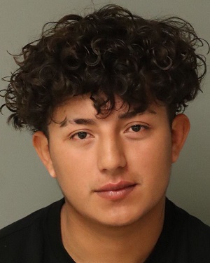 JESUS DANIEL DE LA CRUZ-CASTILL Fotos y informacion de registros de registros publicos del condado de Wake County NC