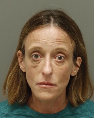 LYNN LANIER JOHNNIE Info, Photos, Data, and More / Wake County Public Records
