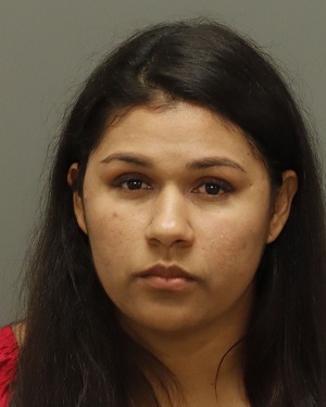 DANIXA MEJIA-ULLOA KAREN Info, Photos, Data, and More / Wake County Public Records
