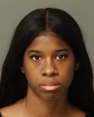 ANDREA MARTIN KEERA Info, Photos, Data, and More / Wake County Public Records