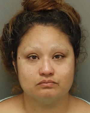 LIDIA SABRINA COSTA Fotos y informacion de registros de registros publicos del condado de Wake County NC