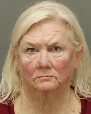 DUBUC ALBRITTON LISA Info, Photos, Data, and More / Wake County Public Records